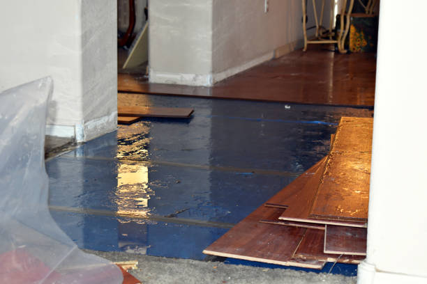 Professional Basement Flood Cleanup technician working in Usk, WA